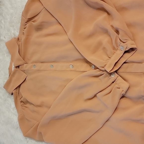 Forever 21 Blush Colored Button-up Sheer Blouse Size Small - Picture 5 of 11